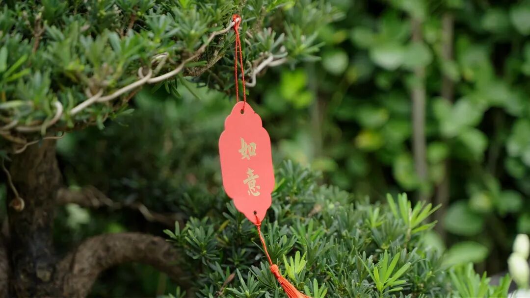 径山竹茶园2026年清明祭扫服务指南