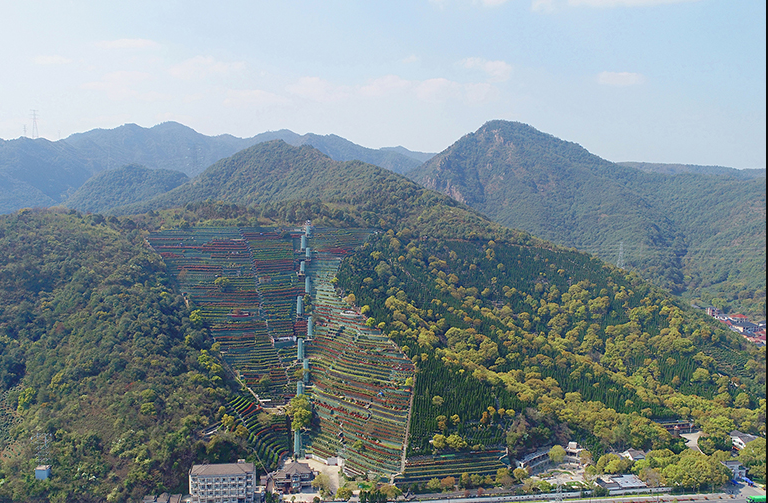钱江陵园怎么选、怎么约、怎么办？杭州正规陵园购墓与安葬服务实用指南