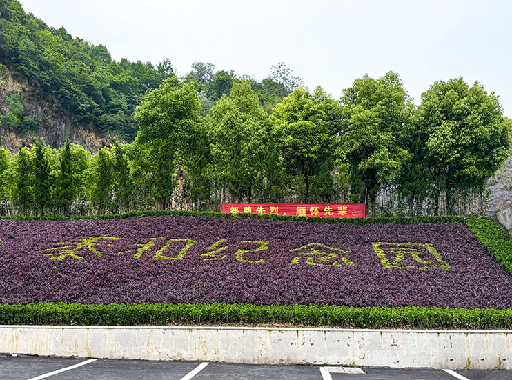 【泰和陵园】关于网络平台不实墓位报价风险提示暨官方服务电话公示通告